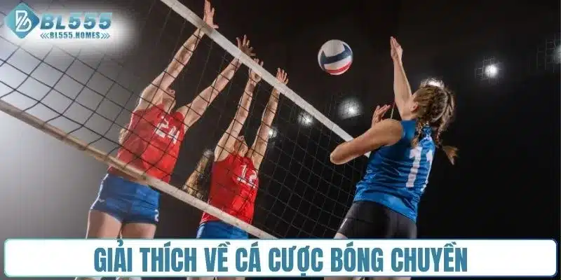 Giải thích về cá cược bóng chuyền