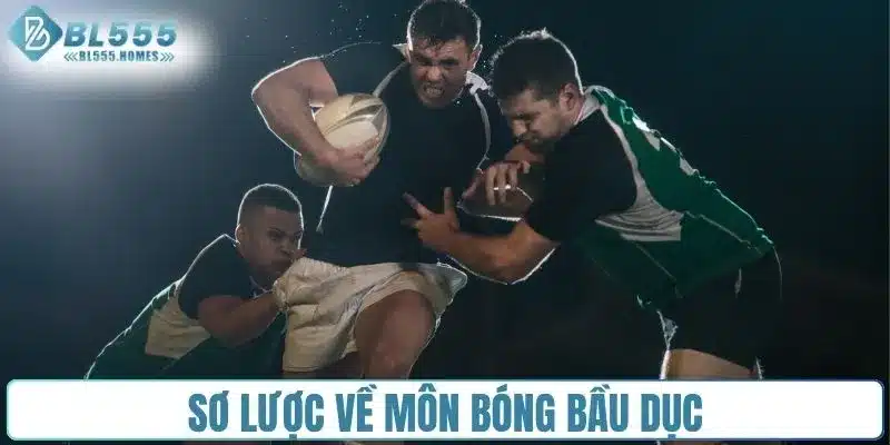 Sơ lược về môn bóng bầu dục