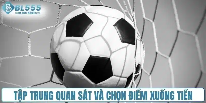 Tập trung quan sát và chọn điểm xuống tiền hợp lý