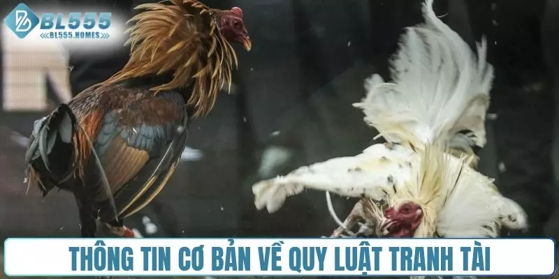 Thông tin cơ bản liên quan đến quy luật tranh tài